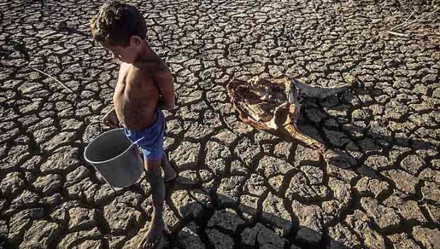 Brasileiros enfrentarão momentos difíceis e crise alimentar nos próximos anos. A fome no Brasil voltou.