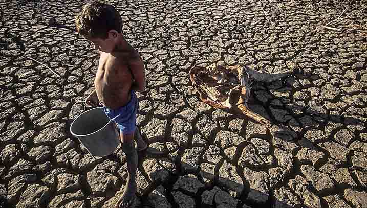 Brasileiros enfrentarão momentos difíceis e crise alimentar nos próximos anos. A fome no Brasil voltou.