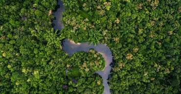 Incra quer anular venda de terras na Amazônia para grupo estrangeiro