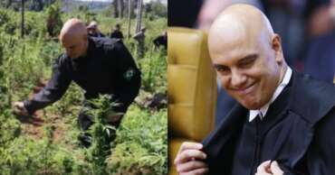 Vídeo: Ministro de Temer, Moraes cortou pés de maconha em 2016